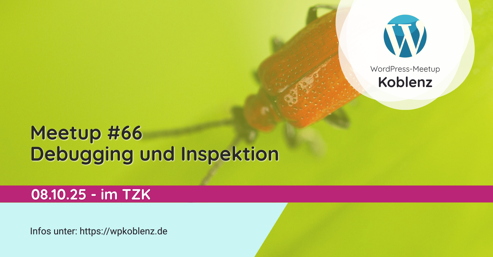 Wp meetup 66 debugging